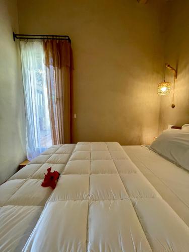 whatsapp_image_2024-09-30_at_20